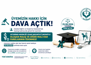 Veteriner Hekimliği Lisans Mezuniyeti Nedeniyle Oluşan Maaş ve Mali Hak Farkları İçin Dava Açtık